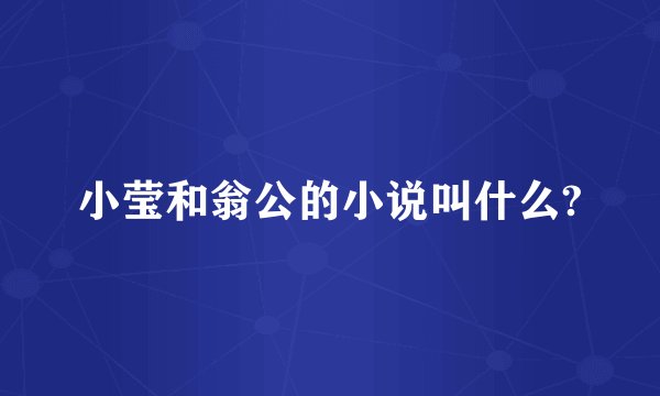 小莹和翁公的小说叫什么?
