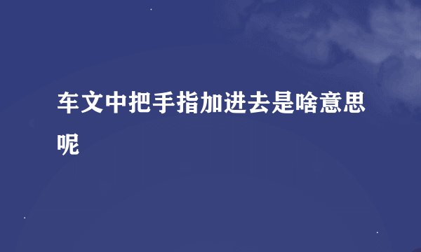 车文中把手指加进去是啥意思呢