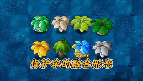 叶子保护伞进化作用