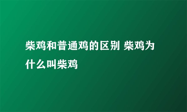 柴鸡和普通鸡的区别 柴鸡为什么叫柴鸡