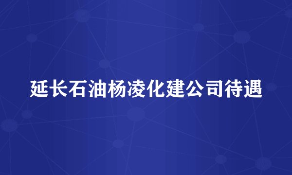 延长石油杨凌化建公司待遇