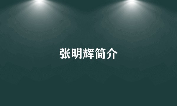 张明辉简介