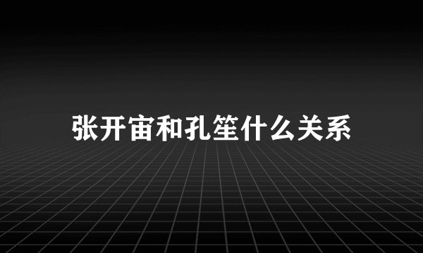 张开宙和孔笙什么关系