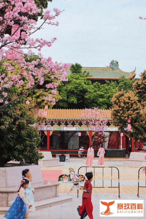别挤宝墨园了,隔壁的南粤苑更好拍