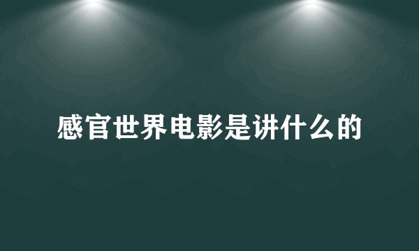 感官世界电影是讲什么的