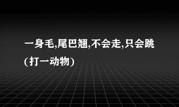 一身毛,尾巴翘,不会走,只会跳(打一动物)
