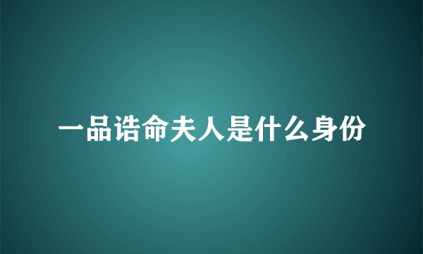 一品诰命夫人是什么身份