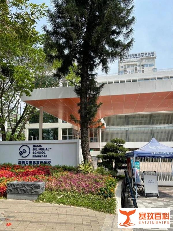 2026年深圳四所贝赛思该如何选?一文盘点四所贝赛思特点与区别!