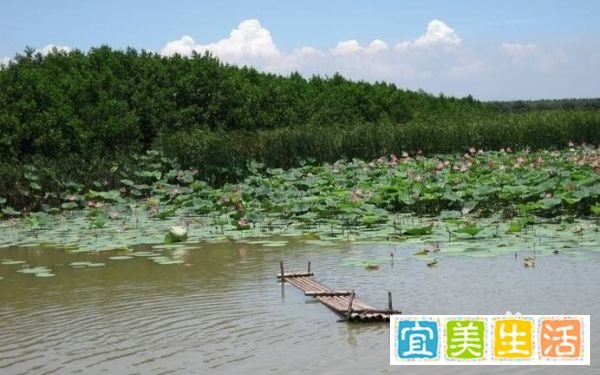 南沙湿地公园广州旅游攻略