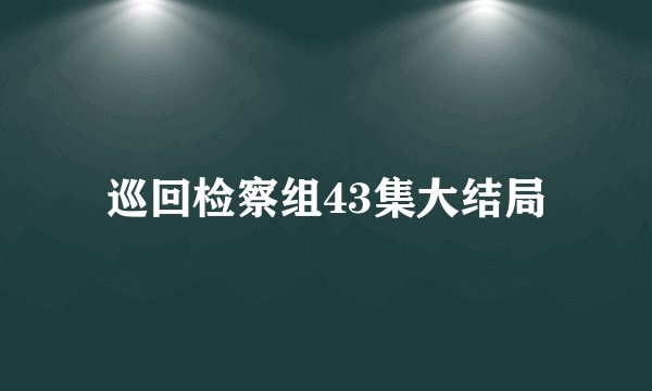 巡回检察组43集大结局