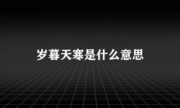 岁暮天寒是什么意思