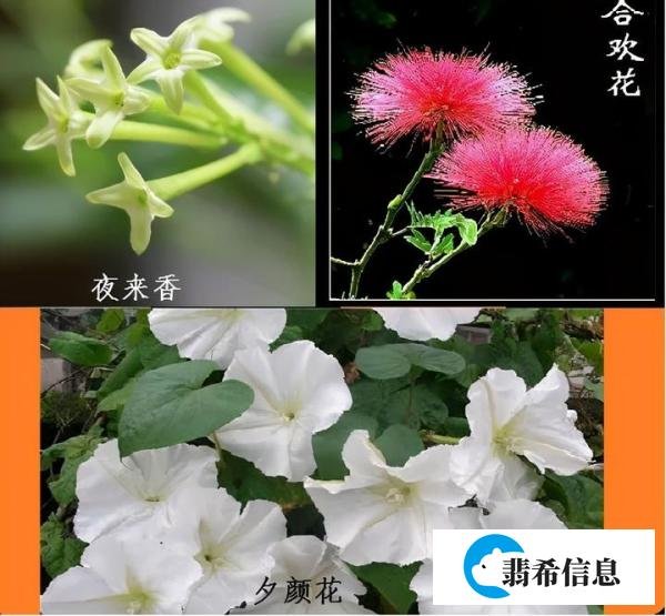 古诗词题库（24）