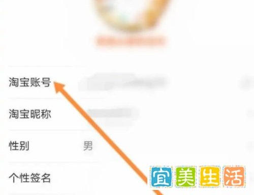 淘宝怎么查自己的账号