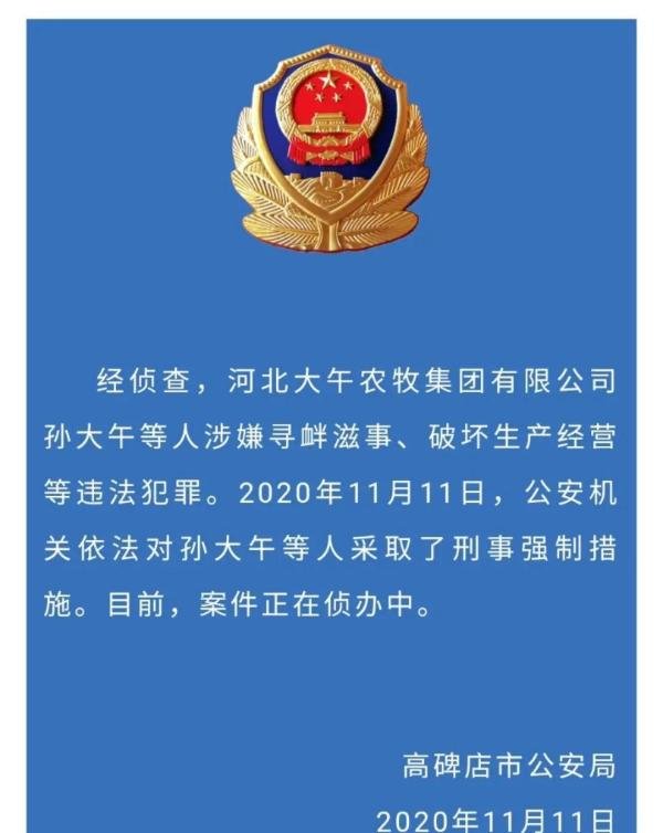 企业家孙大午“二进宫”,员工:凌晨被带走,非常突然