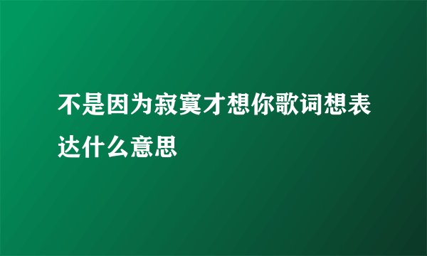 不是因为寂寞才想你歌词想表达什么意思