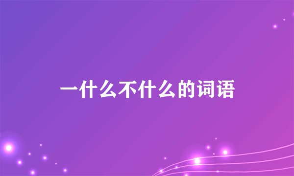 一什么不什么的词语