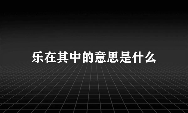 乐在其中的意思是什么