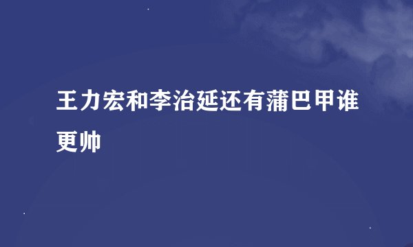 王力宏和李治延还有蒲巴甲谁更帅