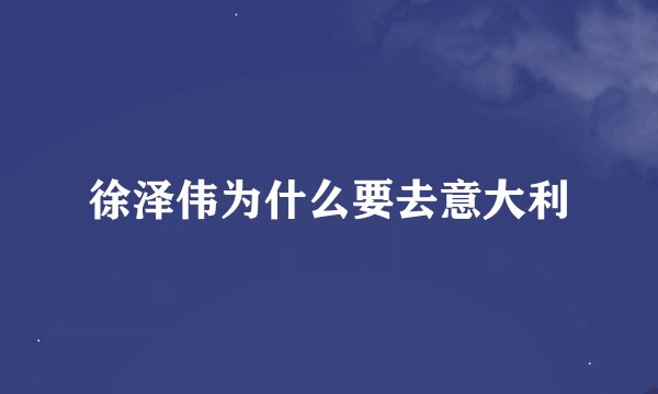 徐泽伟为什么要去意大利