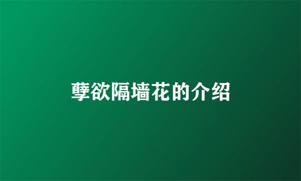 孽欲隔墙花的介绍