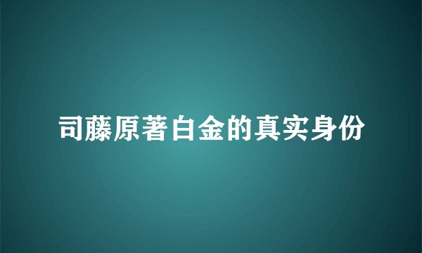 司藤原著白金的真实身份