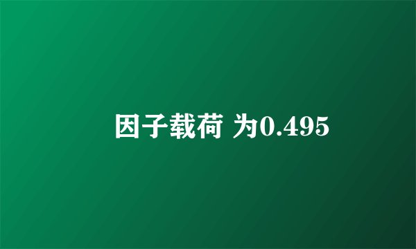 ‌因子载荷 为0.495