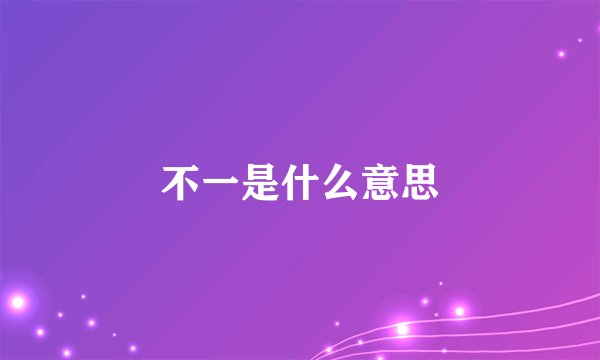 不一是什么意思
