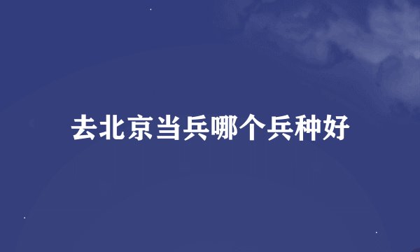 去北京当兵哪个兵种好