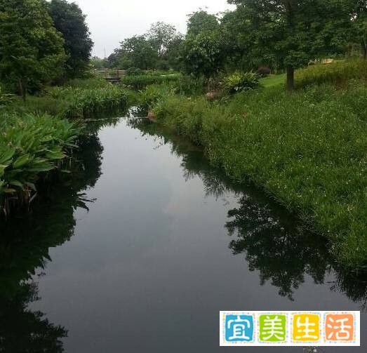 南沙湿地公园广州旅游攻略