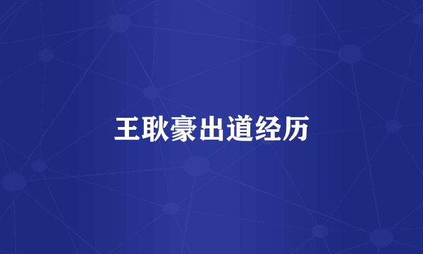 王耿豪出道经历