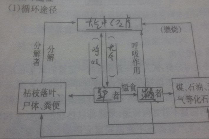 循环什么意思