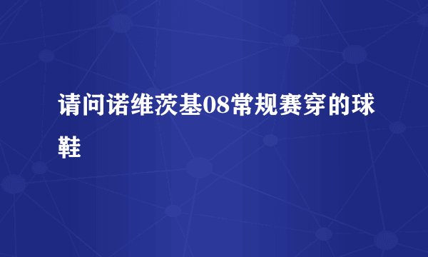 请问诺维茨基08常规赛穿的球鞋