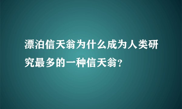漂泊信天翁为什么成为人类研究最多的一种信天翁？
