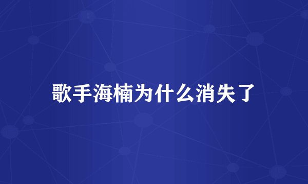歌手海楠为什么消失了