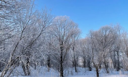 孙荪荃沁园春雪词原文