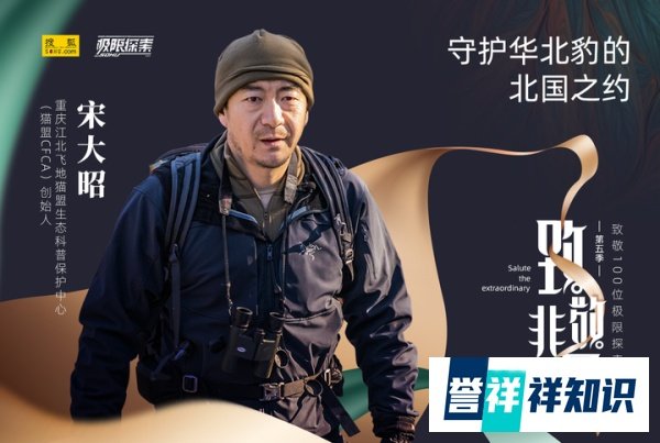致敬非凡|猫盟宋大昭：守护华北豹的北国之约