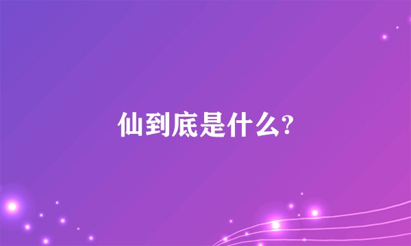 仙到底是什么?