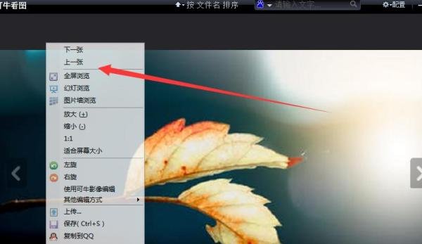 如何使用可牛看图的上一张功能？