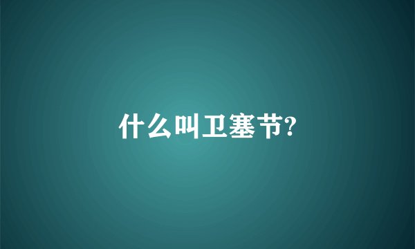 什么叫卫塞节?