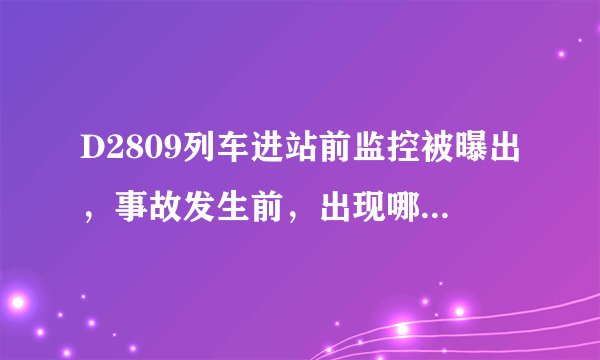 D2809列车进站前监控被曝出，事故发生前，出现哪些异响？