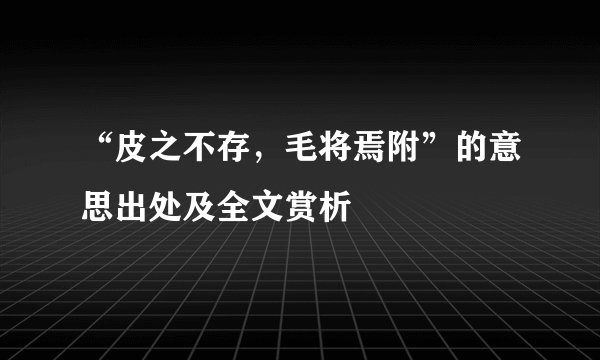 “皮之不存，毛将焉附”的意思出处及全文赏析