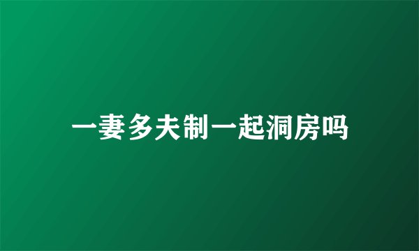 一妻多夫制一起洞房吗