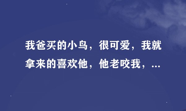 我爸买的小鸟，很可爱，我就拿来的喜欢他，他老咬我，我就把他用纸包起来了，但是他死了我好内疚怎么办？