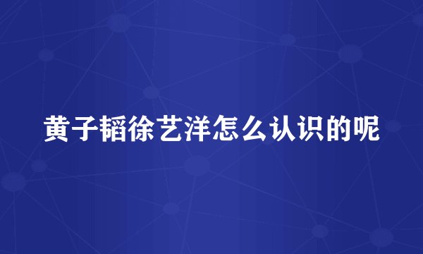 黄子韬徐艺洋怎么认识的呢