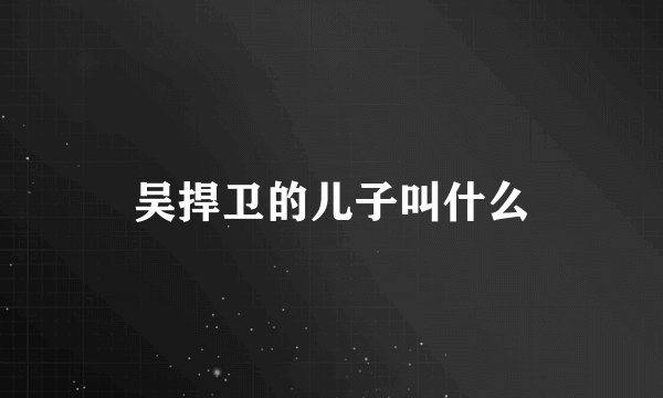吴捍卫的儿子叫什么