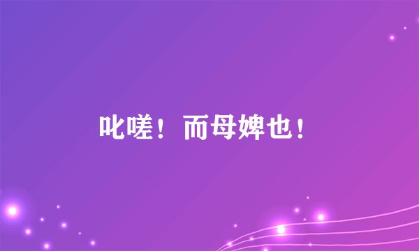 叱嗟！而母婢也！