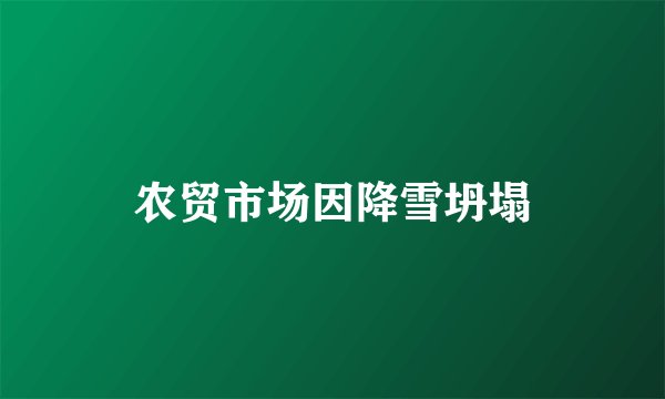 农贸市场因降雪坍塌