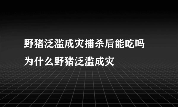 野猪泛滥成灾捕杀后能吃吗 为什么野猪泛滥成灾