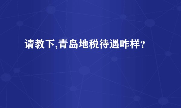 请教下,青岛地税待遇咋样?