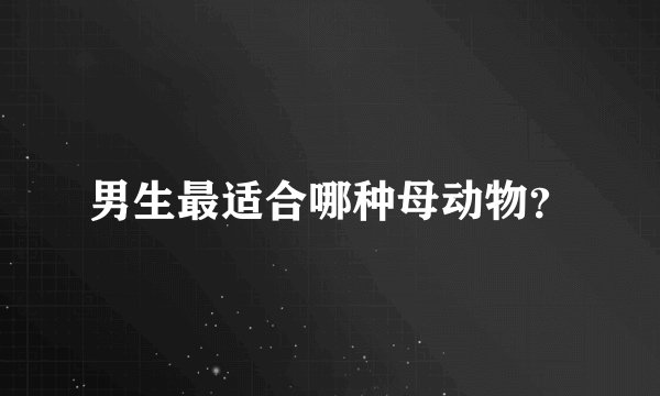 男生最适合哪种母动物？